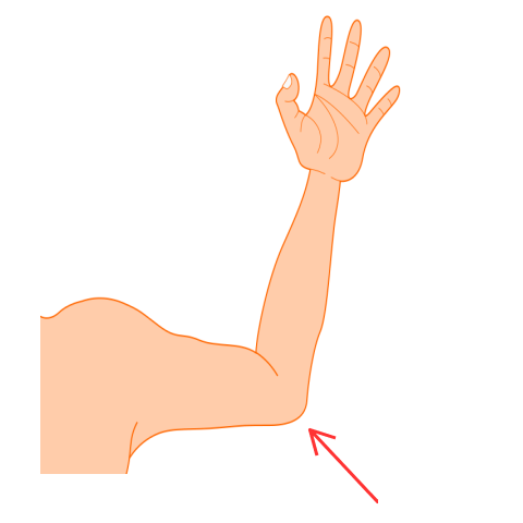 Elbow